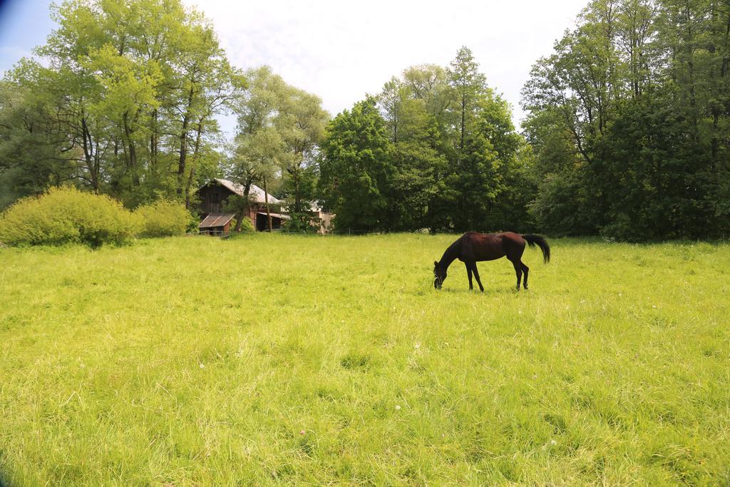 Gospodarstwo Agroturystyczne Stary Mlyn Wilczkowice Michalowice  Exterior foto
